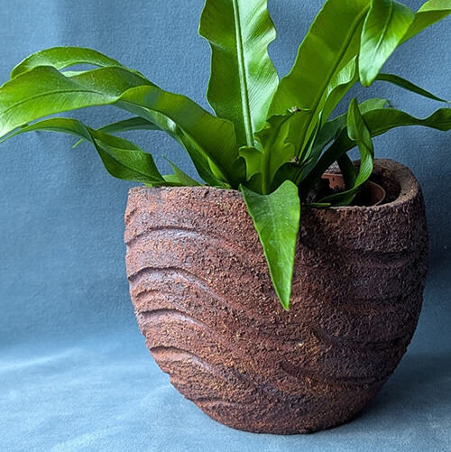 Around the Edges Pottery 2026