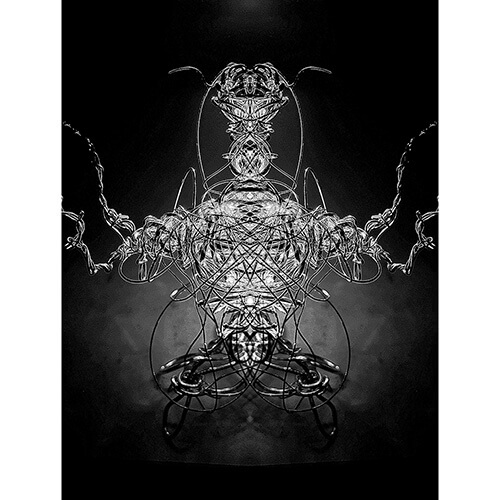 James William Mellor 2026