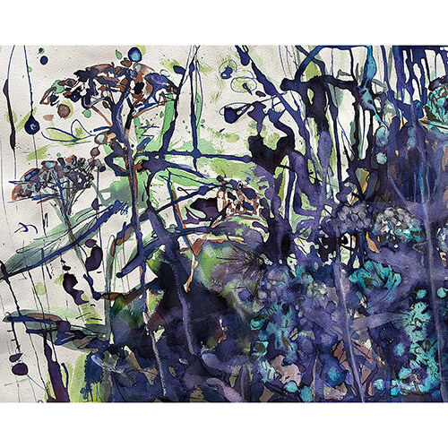 Sally Eliza Farrell 2026